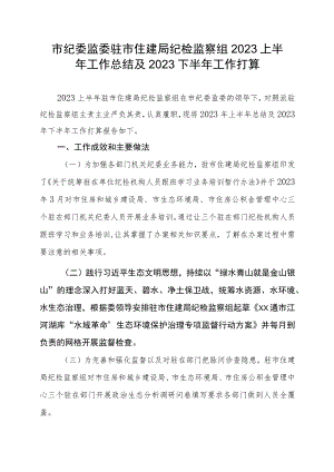 纪检监察组半年工作总结.docx