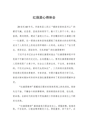 弘扬红旗渠精神主题教育活动心得体会八篇.docx