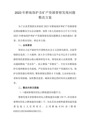 2023年耕地保护及矿产资源督察发现问题整改方案.docx