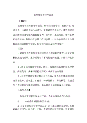 重型肾损伤诊疗常规.docx