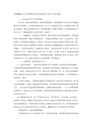 局2023年上半年政务公开总结及下半年工作计划.docx