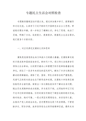 专题民主生活会对照检查.docx