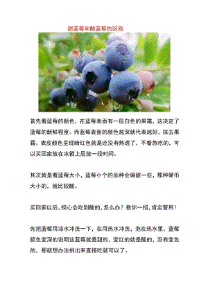 甜蓝莓和酸蓝莓的区别.docx