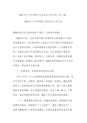 2023年上半年党建工作总结及工作计划(共二篇).docx