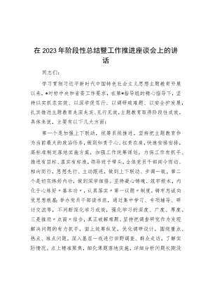 在2023年阶段性总结暨工作推进座谈会上的讲话.docx