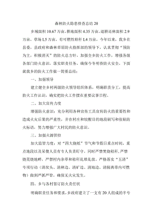 森林防火隐患排查总结20.docx