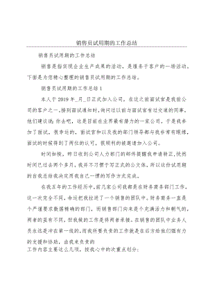 销售员试用期的工作总结.docx
