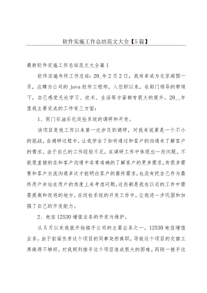 软件实施工作总结范文大全【5篇】.docx