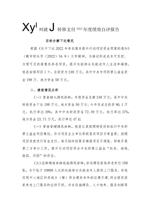 财政支出绩效评价报告.docx