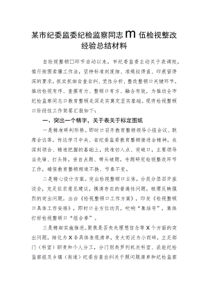 市纪委监委纪检监察干部队伍检视整改经验总结材料.docx