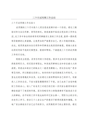 三个月试用期工作总结.docx