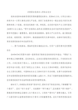 共青团自我革命心得体会发言.docx