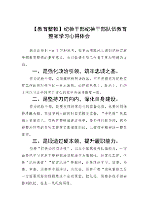 2023【教育整顿】纪检干部纪检干部队伍教育整顿学习心得体会5篇范文.docx