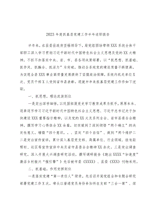 2023年度抓基层党建工作半年述职报告.docx