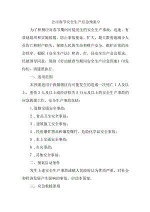 公司春节安全生产应急预案 9.docx