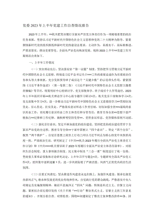 党委2023年上半年党建工作自查情况报告.docx