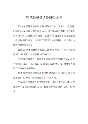 郸城县举借债务情况说明.docx