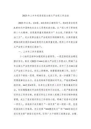 2023年上半年党委党组全面从严治党工作总结.docx