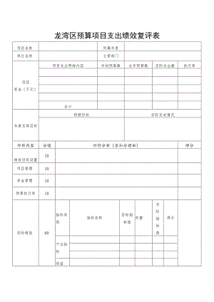 龙湾区预算项目支出绩效复评表.docx