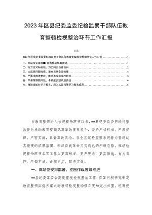 2023年区县纪委监委纪检监察干部队伍教育整顿检视整治环节工作汇报.docx