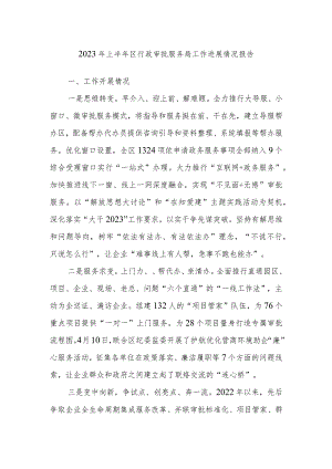 2023年上半年区行政审批服务局工作进展情况报告.docx