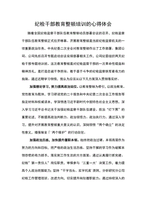 纪检干部教育整顿培训的心得体会.docx