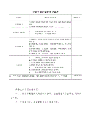 现场处置方案要素评审表.docx