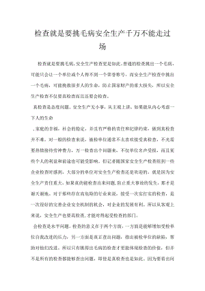 检查就是要挑毛病安全生产千万不能走过场模板范本.docx