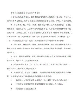 财务科工资核算会计安全生产责任制.docx