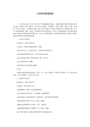 公司惩罚管理规程.docx