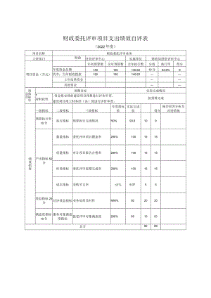 财政委托评审项目支出绩效自评表.docx