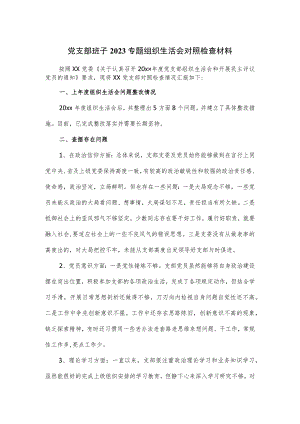 党支部班子2023专题组织生活会对照检查材料.docx