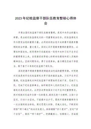 《2023年纪检监察干部队伍教育整顿》心得体会八篇.docx