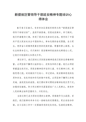 新提拔区管领导干部参加延安精神专题培训心得体会.docx