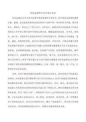 纪检监察研讨发言体会发言.docx