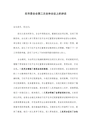 在市委全会第二次全体会议上的讲话.docx