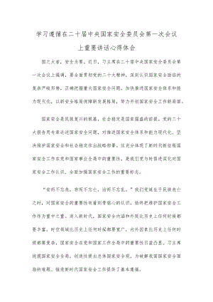学习遵循在二十届中央国家安全委员会第一次会议上重要讲话心得体会.docx
