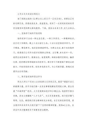 公司正定足迹读后感范文.docx