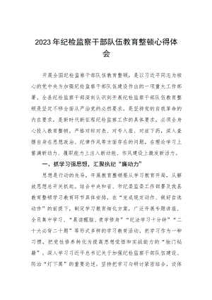 2023年全国纪检监察干部队伍教育整顿的心得体会两篇.docx