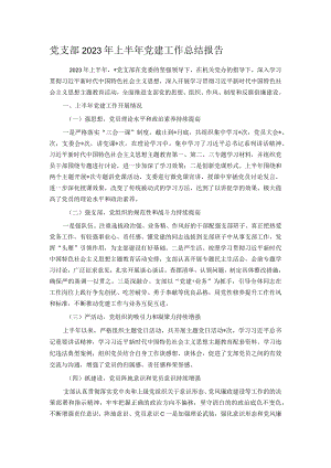 党支部2023年上半年党建工作总结报告.docx