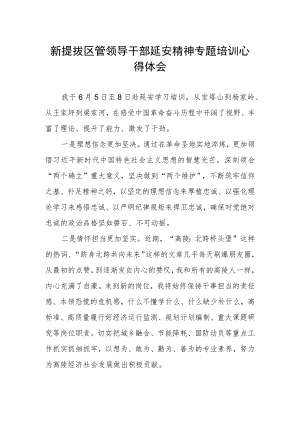 新提拔区管领导干部延安精神专题培训心得感悟.docx