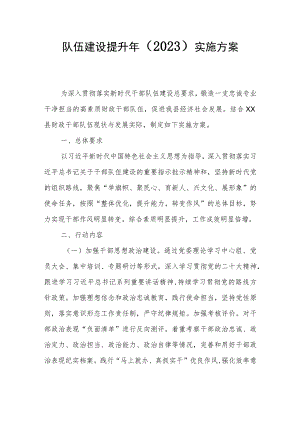 队伍建设提升年（2023）实施方案.docx