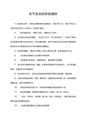 关于安全的好段摘抄.docx