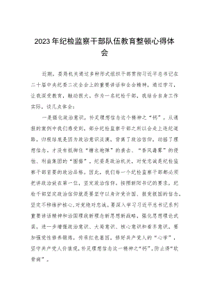 2023纪检监察干部队伍教育整顿心得体会模板2篇.docx