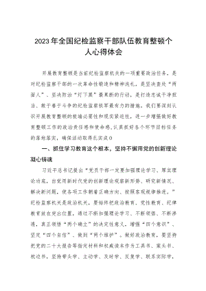 2023纪检监察干部队伍教育整顿学习个人心得体会八篇.docx