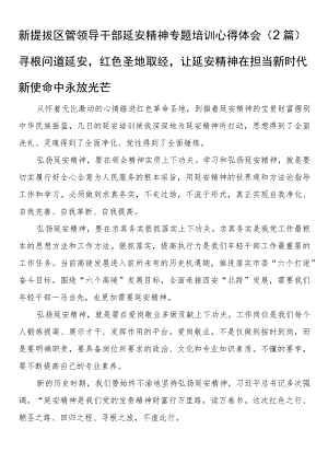 新提拔区管领导干部延安精神专题培训心得体会（2篇）.docx