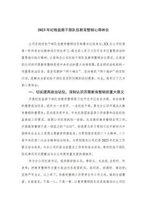 【2023纪检教育整顿】2023年纪检监察干部队伍教育整顿心得体会精选（共四篇）.docx