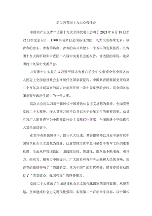 学习共青团十九大精神感悟1.docx