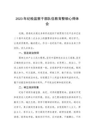 2023年全国纪检监察干部队伍教育整顿活动心得感悟两篇.docx