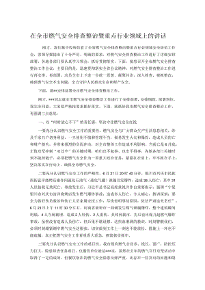 在全市燃气安全排查整治暨重点行业领域上的讲话.docx